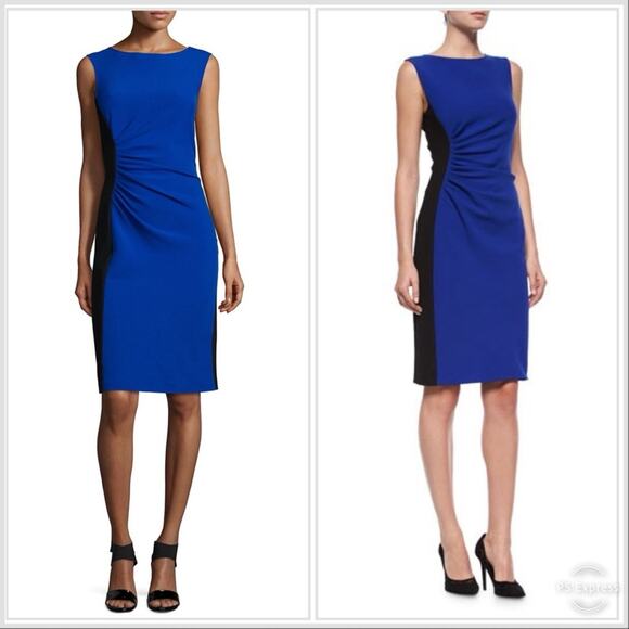 Diane von Furstenberg Laura Sleeveless Ruched Sheath Dress - Picture 1 of 12